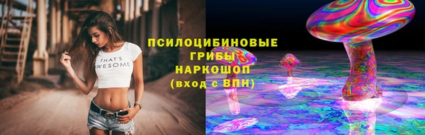 тгк Армянск