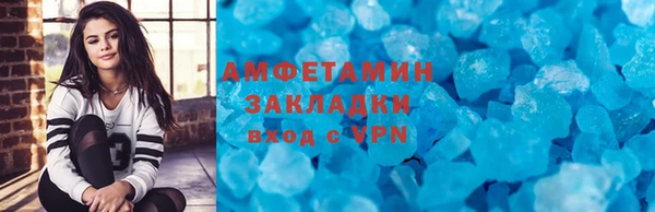прущие грибы Переславль-Залесский