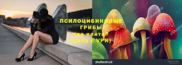 гашишное масло Покачи