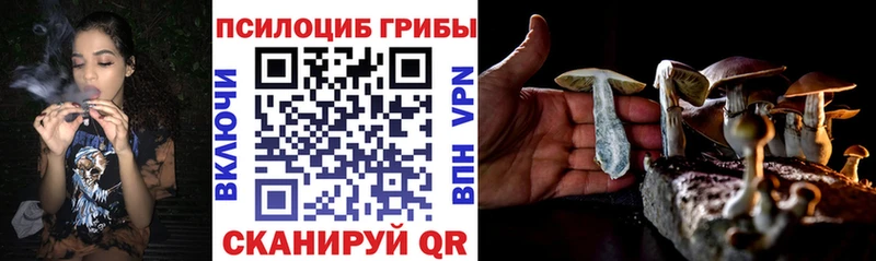 Псилоцибиновые грибы ЛСД  OMG ONION  Ступино  как найти закладки 